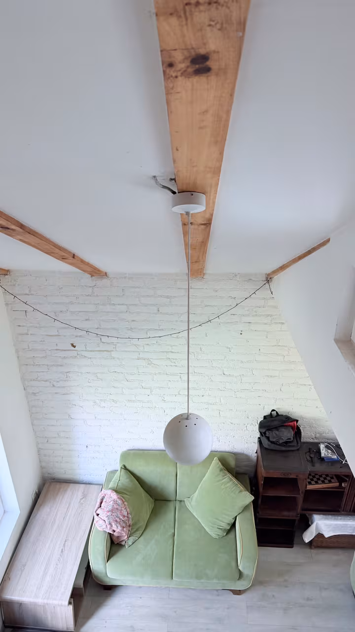 Šapat šume Rajac - photo 22